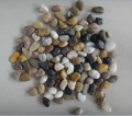Mixed colours polished /natural pebble stone