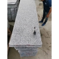 Jilin white new G439 granite slabs