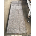 New G664 Chinese Rosa red granite