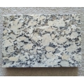 Sandy yellow granite polished granite tile