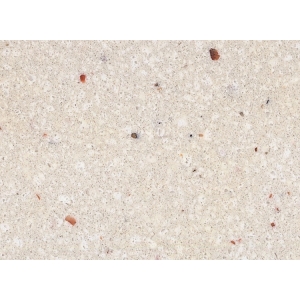 GREYISH WHITE   mix color quartz