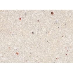GREYISH WHITE   mix color quartz