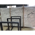 Grey calacatta veins marble slabs