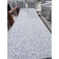 Jilin white new G439 granite slabs